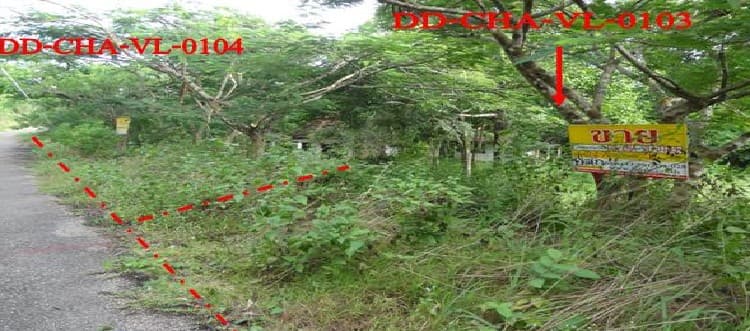 full_20130618092937.jpg
