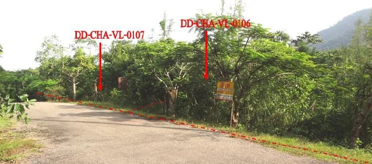 full_20130618094147.jpg
