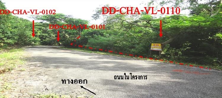 full_20130618095011.jpg