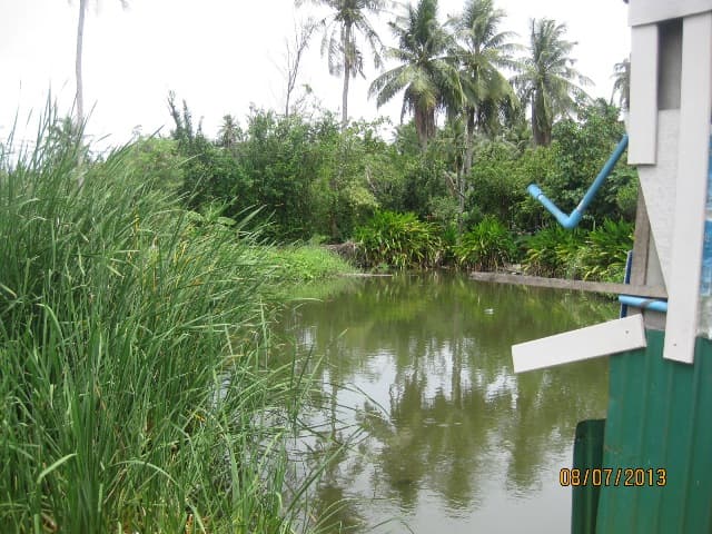 full_20130709154940.JPG