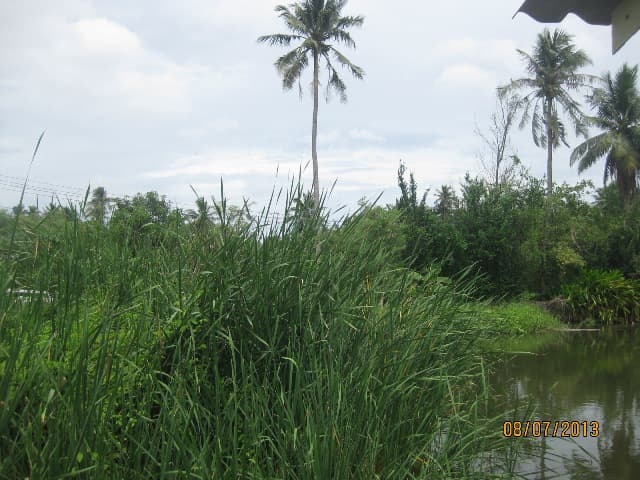 full_20130709154947.JPG