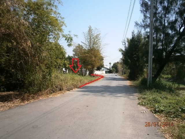 full_20140205113122.JPG