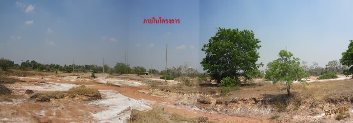 full_20140331160909.jpg