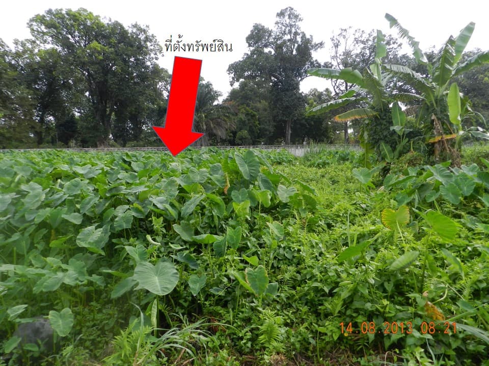 full_20140702142051.JPG