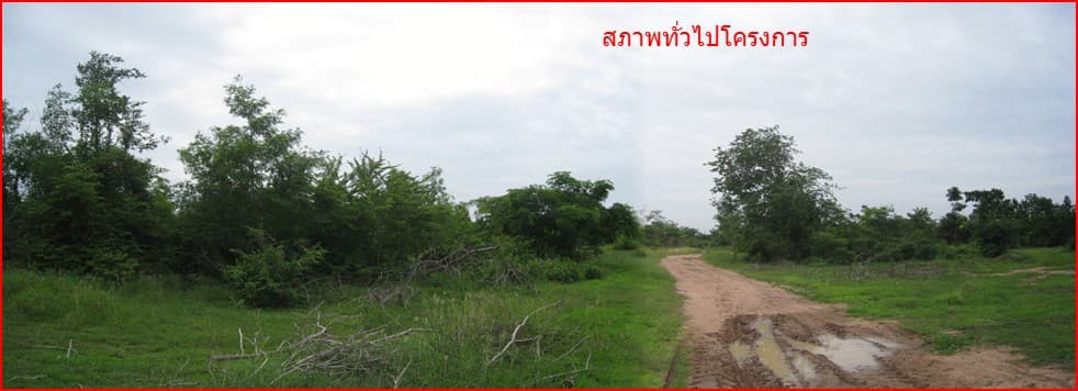 full_20150220163521.jpg