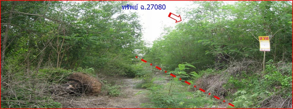 full_20150220163529.jpg