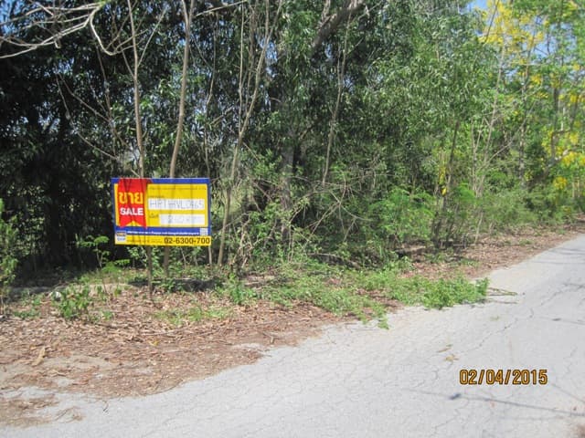 full_20150408095558.JPG