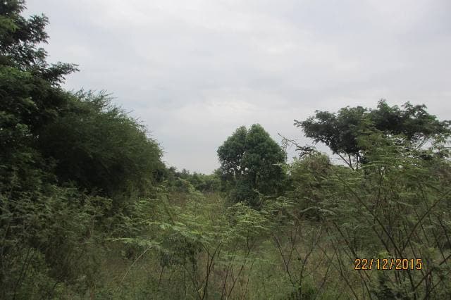 full_20151223091734.JPG