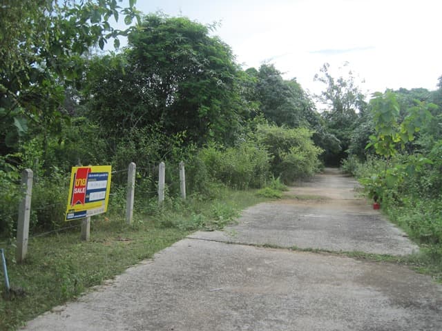full_20160120164733.JPG