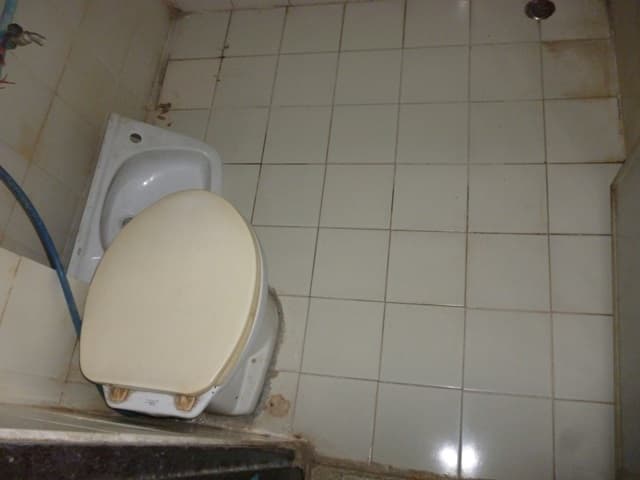 full_20160223101206.jpg