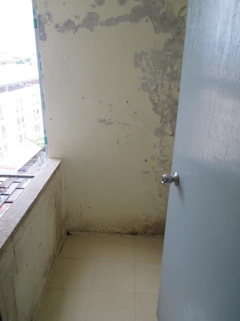 full_20160318130307.JPG