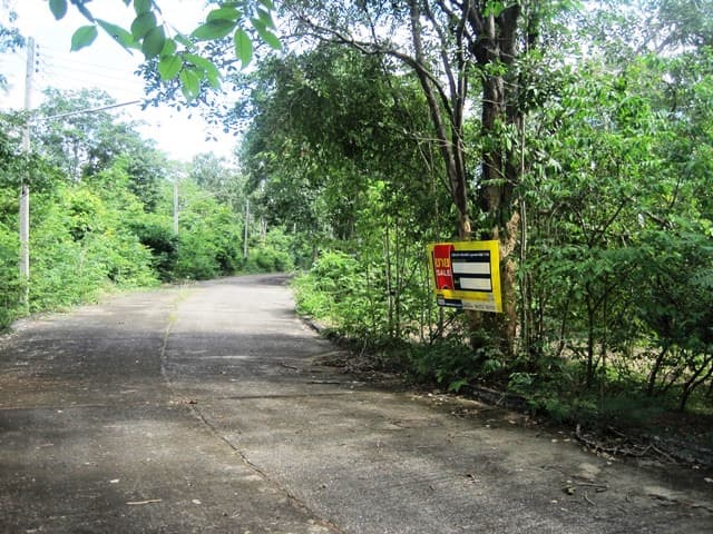 full_20160801143420.JPG