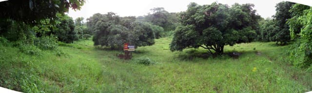 full_20160822134816.JPG
