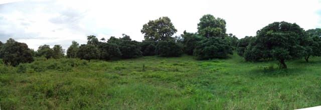 full_20160822134831.JPG