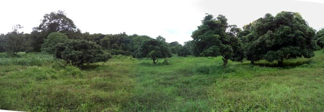 full_20160822134858.JPG