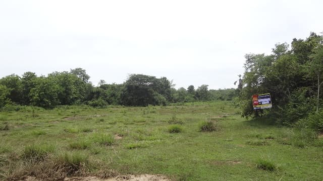 full_20160830113549.JPG
