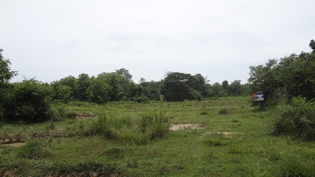 full_20160830113555.JPG