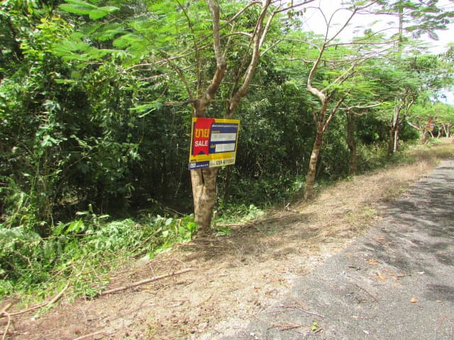 full_20161124104641.JPG