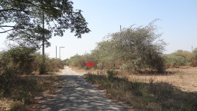 full_20170210100724.JPG
