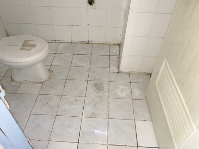 full_20170320164909.JPG