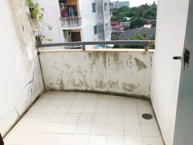 full_20170529095222.JPG