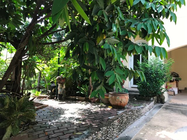 full_20170724131543.JPG