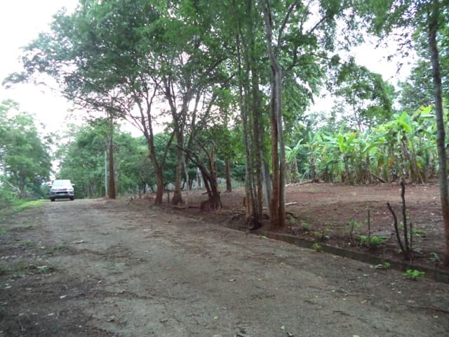 full_20170817171416.JPG