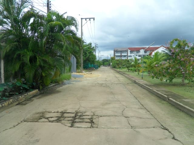 full_20170914084258.JPG
