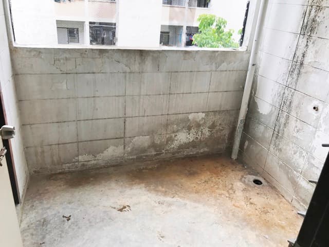 full_20171005093947.JPG