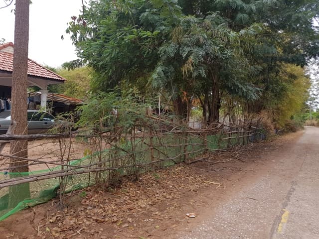 full_20180201110450.jpg