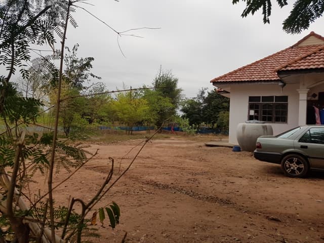 full_20180201110502.jpg