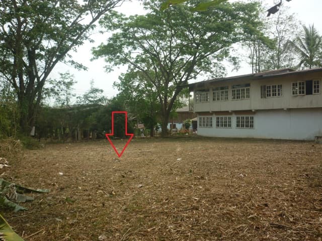 full_20180403174221.JPG