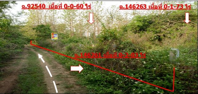 full_20180424094144.JPG