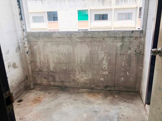 full_20180615164055.JPG