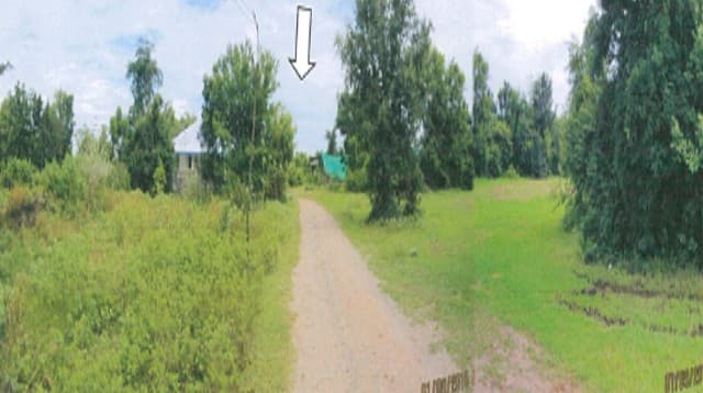 full_20180621161157.jpg