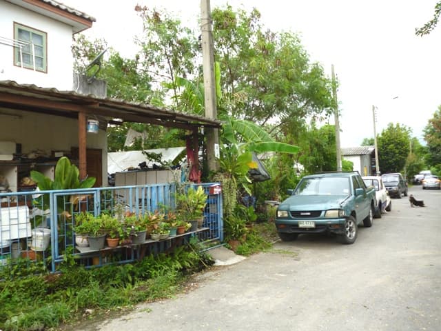 full_20180904162655.JPG