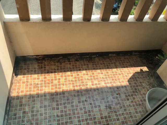 full_20190225183854.JPG