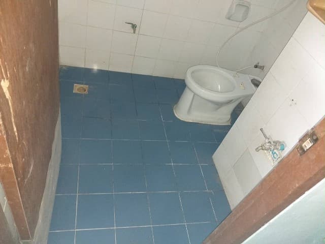 full_20190329131212.JPG