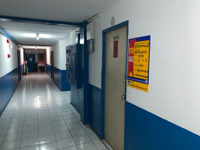 full_20190613085229.JPG