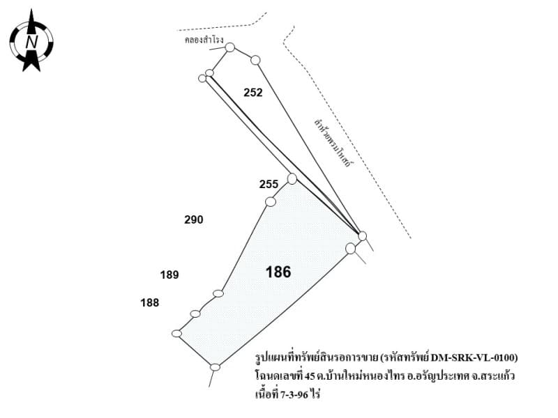 full_20190619073343.JPG