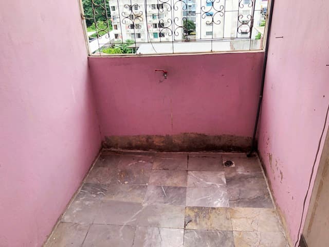 full_20190724162723.JPG
