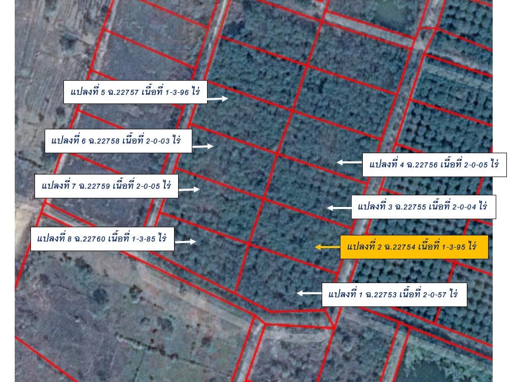 full_20190730151845.jpg