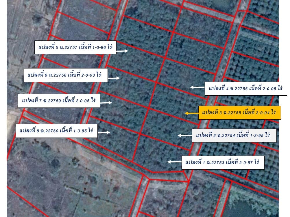 full_20190730152250.jpg