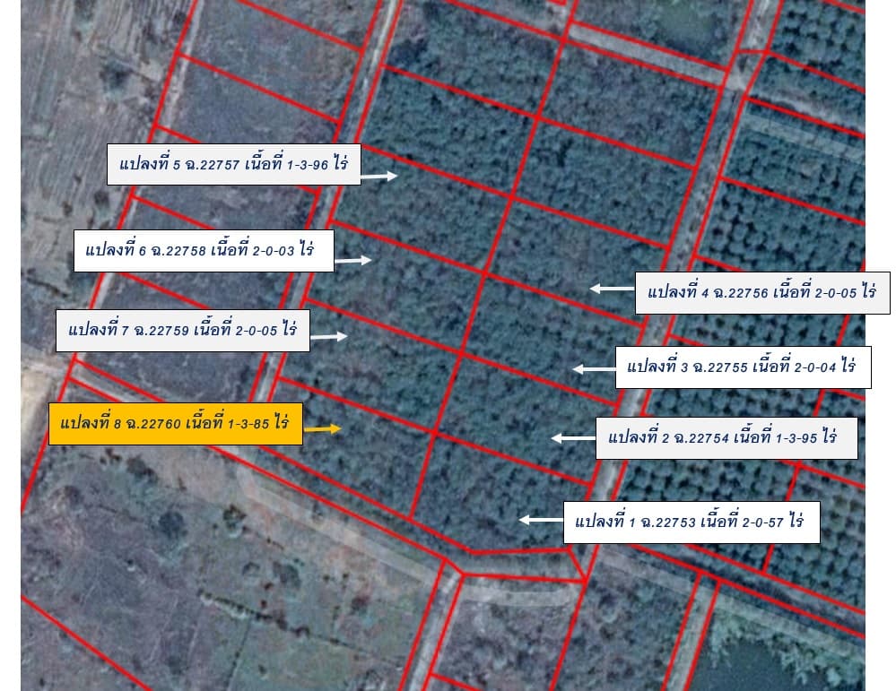 full_20190730154011.jpg