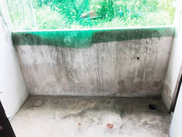 full_20190805154348.JPG