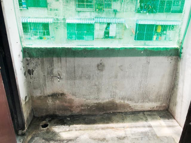full_20190805160821.JPG