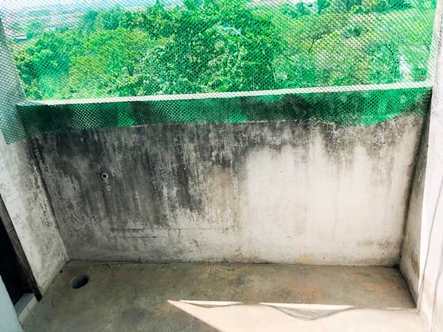 full_20190805161529.JPG