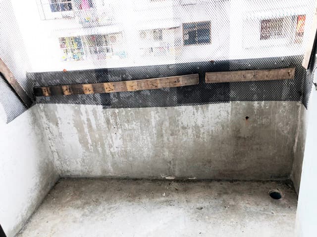 full_20190805171833.JPG