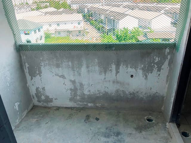 full_20190805175956.JPG