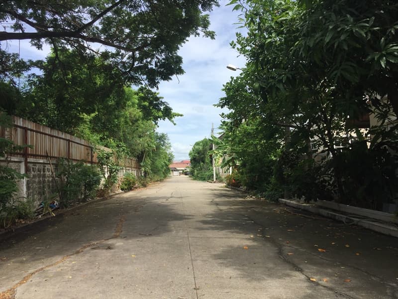 full_20190808093919.JPG